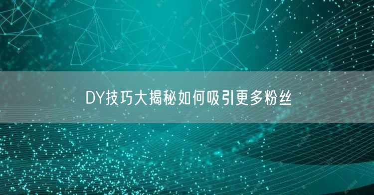 DY技巧大揭秘如何吸引更多粉丝