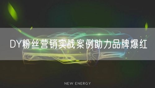 DY粉丝营销实战案例助力品牌爆红