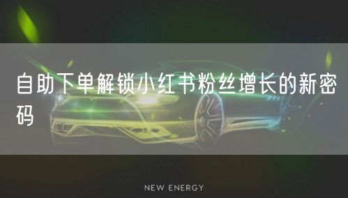 自助下单解锁小红书粉丝增长的新密码