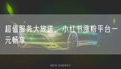 超值服务大放送，小红书涨粉平台一元畅享