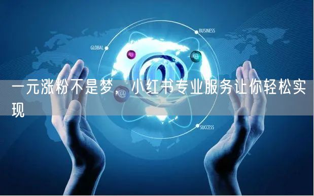 一元涨粉不是梦，小红书专业服务让你轻松实现