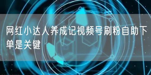 网红小达人养成记视频号刷粉自助下单是关键