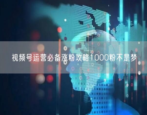 视频号运营必备涨粉攻略1000粉不是梦