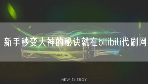 新手秒变大神的秘诀就在bilibili代刷网