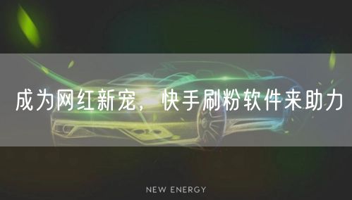 成为网红新宠，快手刷粉软件来助力