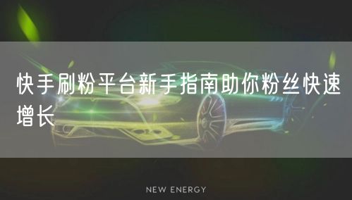 快手刷粉平台新手指南助你粉丝快速增长