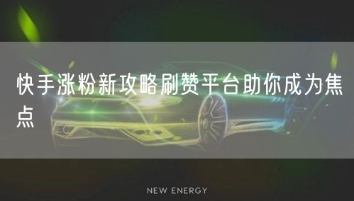 快手涨粉新攻略刷赞平台助你成为焦点