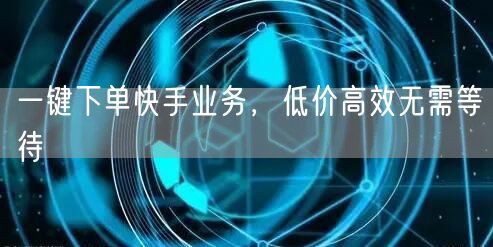 一键下单快手业务,低价高效无需等待
