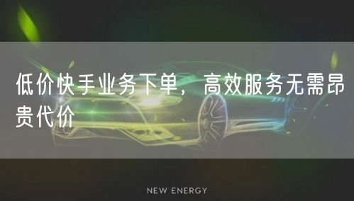 低价快手业务下单，高效服务无需昂贵代价