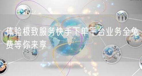 体验极致服务快手下单平台业务全免费等你来享