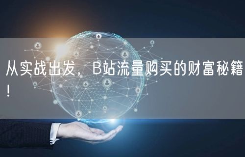 从实战出发,B站流量购买的财富秘籍!