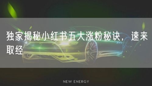 独家揭秘小红书五大涨粉秘诀,速来取经