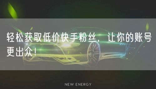 轻松获取低价快手粉丝,让你的账号更出众!